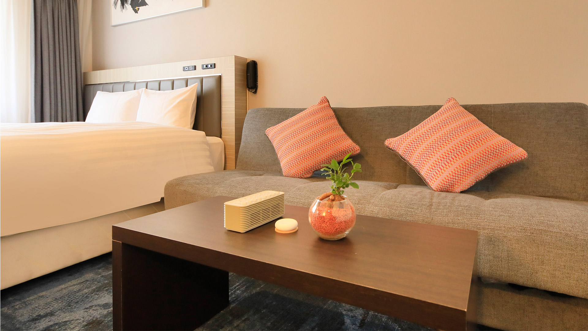 【TV放送】クインテッサホテル Relax&Sleepシリーズ:フジテレビ『ノンストップ』(25年12月12日)